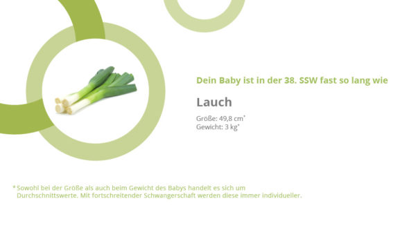 38. SSW – die 38. Schwangerschaftswoche (Tag 260-266)