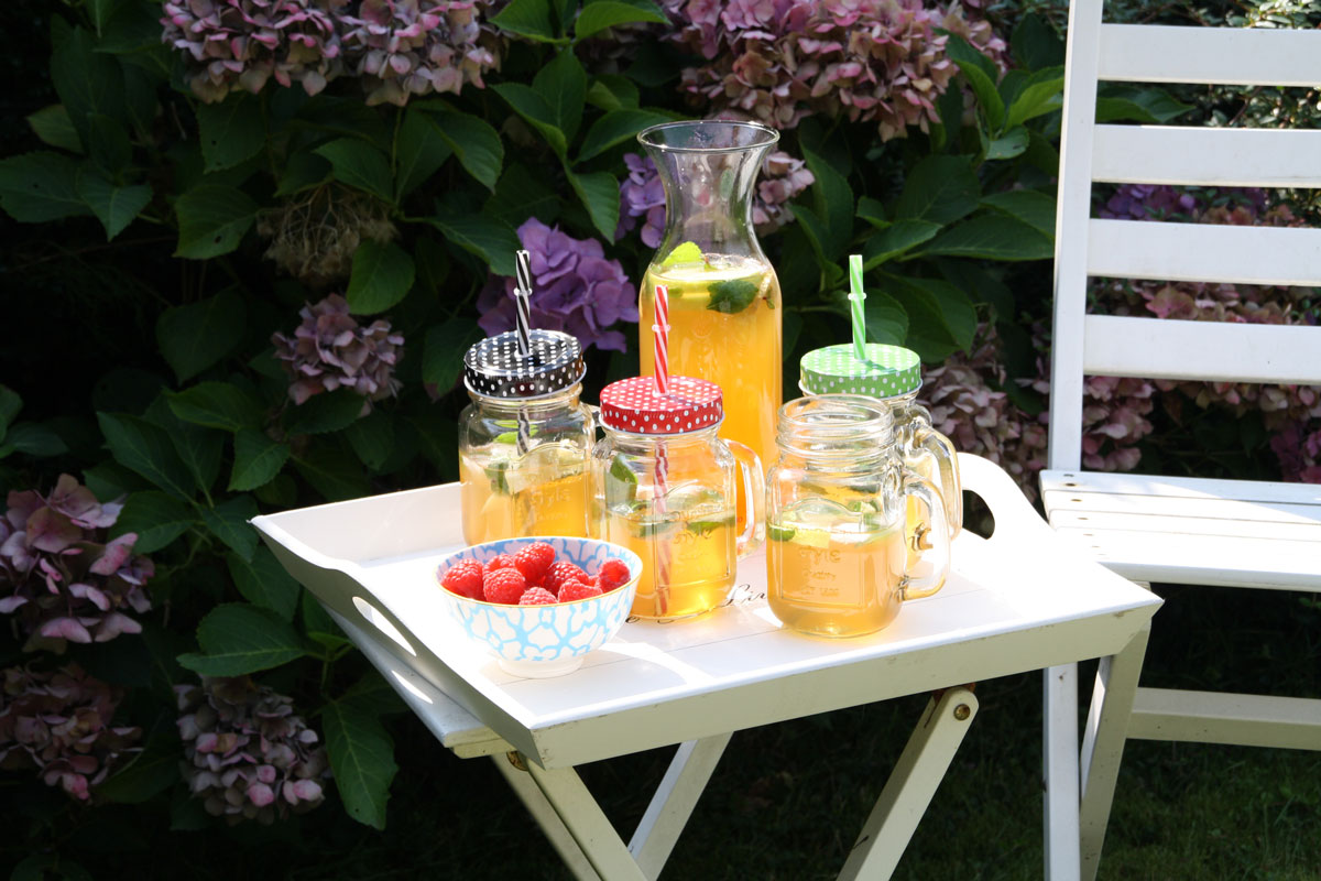 Limonade selber machen - ein Sommer Hit - limango Magazin